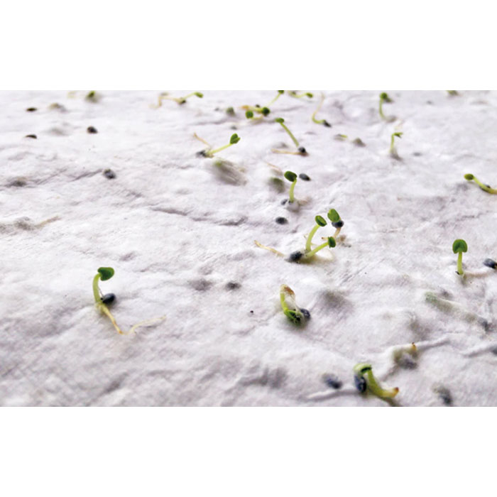 Objet publicitaire personnalisable – ASIDA – Image 4